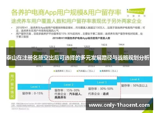 泰山在注册名额空出后可选择的多元发展路径与战略规划分析