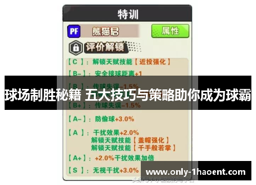 球场制胜秘籍 五大技巧与策略助你成为球霸