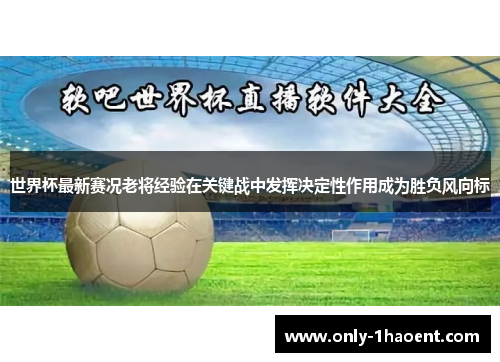 世界杯最新赛况老将经验在关键战中发挥决定性作用成为胜负风向标